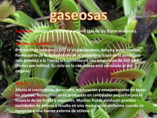 • Gaseosas: dióxido de carbono y etileno (gas de los frutos maduros).
• Dióxido de carbono.
• El dióxido de carbono (CO2) es un gas incoloro, denso y poco reactivo.
Forma parte de la composición de la tropósfera (capa de la atmósfera
más próxima a la Tierra) actualmente en una proporción de 350 ppm.
(Partes por millón). Su ciclo en la naturaleza está vinculado al del
oxígeno.
• Etileno.
• Afecta el crecimiento, desarrollo, maduración y envejecimiento de todas
las plantas. Normalmente es producido en cantidades pequeñas por la
mayoría de las frutas y vegetales. Muchas frutas producen grandes
cantidades de etileno y resulta en una maduración uniforme cuando es
expuesta a una fuente externa de etileno.
 