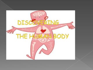 DISCOVERING THE HUMAN BODY  