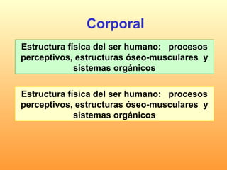 Corporal Estructura física del ser humano:  procesos perceptivos, estructuras óseo-musculares  y sistemas orgánicos Estructura física del ser humano:  procesos perceptivos, estructuras óseo-musculares  y sistemas orgánicos 