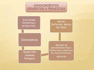 Cargas de trabajo: Definición, Función, Aplicación, Riesgos, Clasificación. Actividad física: definición, características, componentes, ventajas.Biopsicosocial: definición, dimensión, aplicación, características, Desarrollo.