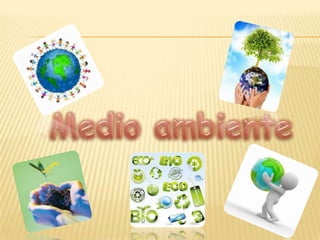Medio ambiente