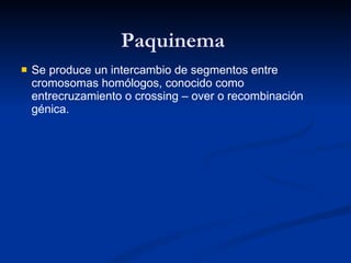 Paquinema  Se produce un intercambio de segmentos entre cromosomas homólogos, conocido como entrecruzamiento o crossing – over o recombinación génica. 