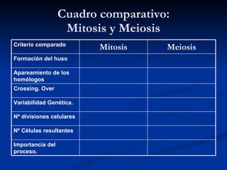 Cuadro comparativo: Mitosis y Meiosis Criterio comparado Mitosis Meiosis Formación del huso Apareamiento de los homólogos Crossing. Over Variabilidad Genética. Nº divisiones celulares Nº Células resultantes Importancia del proceso. 