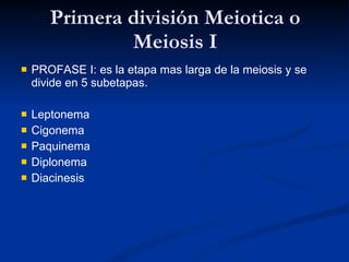 Primera división Meiotica o Meiosis I PROFASE I: es la etapa mas larga de la meiosis y se divide en 5 subetapas. Leptonema Cigonema Paquinema Diplonema Diacinesis 