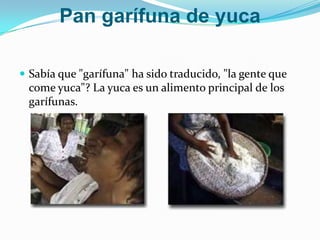 Pan garífuna de yuca Sabía que "garífuna" ha sido traducido, "la gente que come yuca"? La yuca es un alimento principal de los garífunas. 