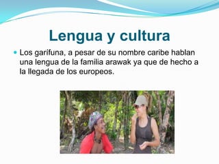 Lengua y culturaLos garífuna, a pesar de su nombre caribehablan una lengua de la familia arawak ya que de hecho a la llegada de los europeos.