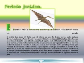 nombre se debe a las montañas Jura, la cordillera que divide Francia y Suiza. Se formó durante

este                                                                                                  período.

El Jurásico duró desde 207 hasta hace 145 millones de años. Se dividían en tres partes bastante
diferenciadas; Jurásico inferior, el medio y el superior. El inferior duró desde 207 hasta hace 186 millones de
años. El medio desde 186 hasta 164 millones de años. El superior desde 164 hasta hace 145 millones de años.
En el período Jurásico medio el clima mundial se fue suavizando. La vegetación también se hizo más
exuberante debido al aumento de las lluvias. Toda la tierra entonces estaba poblada por una gran
variedad de dinosaurios y otros animales. Sapos lagartos y tortugas compartían el mundo de los
dinosaurios en los ríos. Los primeros sapos verdaderos aparecieron a mediados del Jurásico, mientras que
las tortugas y los lagartos habían evolucionado mucho antes. Hasta hace poco, lo único que se conocía de
los dinosaurios del Jurásico medio correspondía a hallazgos dispersos realizados en Inglaterra, Francia e
India.
 