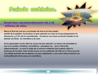 Desde hace aproximadamente 145 a 65
millones de años.
Marca el final de una era y el principio de otra en el más amplio
sentido de la palabra. Se produce un gran extinción en masa en la que desaparecen los
dinosaurios y el 75% de los invertebrados. Comienza una nueva evolución basada en las
plantas con flores, los mamíferos y las aves.

Se ha especulado mucho sobre las causas de esta extinción. La teoría más extendida es
que a los cambios climáticas, atmosféricas, gravedad, etc.. que la Tierra iba
experimentando, se sumó la caída de un enorme meteorito que impactó sobre la
península de Yucatán. Este cambio brusco en las condiciones de Vida en la Tierra provocó
una rápida extinción de las especies con peor adaptación y una nueva línea evolutiva con
la diversificación de las aves y los mamíferos.
 