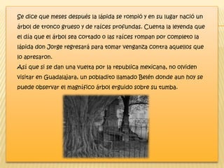 Se dice que meses después la lápida se rompió y en su lugar nació un
árbol de tronco grueso y de raíces profundas. Cuenta la leyenda que
el día que el árbol sea cortado o las raíces rompan por completo la
lápida don Jorge regresará para tomar venganza contra aquellos que
lo apresaron.
Así que si se dan una vuelta por la republica mexicana, no olviden
visitar en Guadalajara, un pobladito llamado Belén donde aun hoy se
puede observar el magnífico árbol erguido sobre su tumba.
 