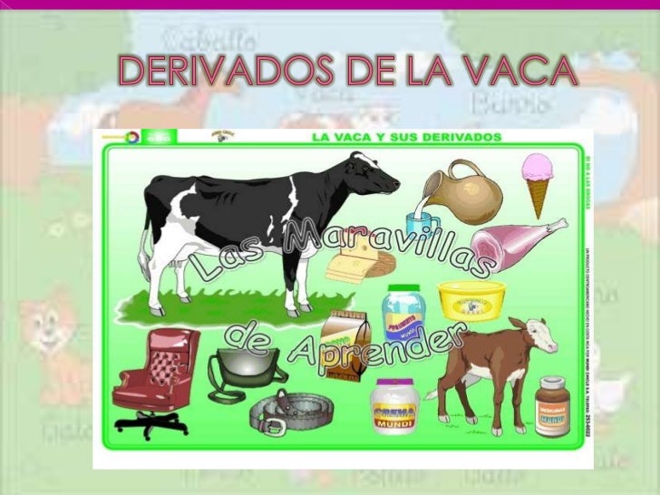 Resultado de imagen de derivados de la vaca