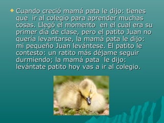    Cuando creció mamá pata le dijo: tienes
    que ir al colegio para aprender muchas
    cosas. Llegó el momento en el cual era su
    primer día de clase, pero el patito Juan no
    quería levantarse, la mamá pata le dijo:
    mi pequeño Juan levántese. El patito le
    contesto: un ratito más déjame seguir
    durmiendo; la mamá pata le dijo:
    levántate patito hoy vas a ir al colegio.
 