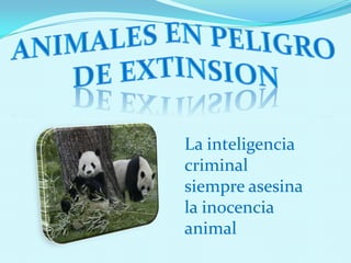 La inteligencia
criminal
siempre asesina
la inocencia
animal
 