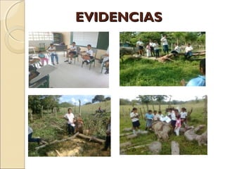 EVIDENCIAS
 