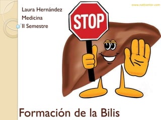 Laura Hernández
Medicina
II Semestre




Formación de la Bilis
 