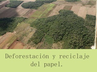 Deforestación y reciclaje
       del papel.
 