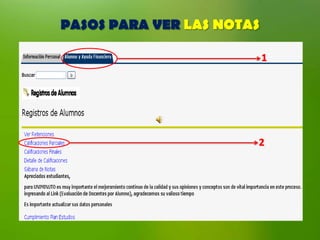 PASOS PARA VER LAS NOTAS
 