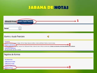 SABANA DE NOTAS
 