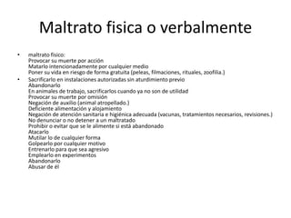 Maltrato fisica o verbalmente
• maltrato físico:
Provocar su muerte por acción
Matarlo intencionadamente por cualquier medio
Poner su vida en riesgo de forma gratuita (peleas, filmaciones, rituales, zoofilia.)
• Sacrificarlo en instalaciones autorizadas sin aturdimiento previo
Abandonarlo
En animales de trabajo, sacrificarlos cuando ya no son de utilidad
Provocar su muerte por omisión
Negación de auxilio (animal atropellado.)
Deficiente alimentación y alojamiento
Negación de atención sanitaria e higiénica adecuada (vacunas, tratamientos necesarios, revisiones.)
No denunciar o no detener a un maltratado
Prohibir o evitar que se le alimente si está abandonado
Atacarlo
Mutilar lo de cualquier forma
Golpearlo por cualquier motivo
Entrenarlo para que sea agresivo
Emplearlo en experimentos
Abandonarlo
Abusar de él
 