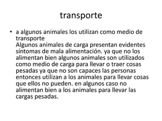 transporte
• a algunos animales los utilizan como medio de
transporte
Algunos animales de carga presentan evidentes
síntomas de mala alimentación. ya que no los
alimentan bien algunos animales son utilizados
como medio de carga para llevar o traer cosas
pesadas ya que no son capaces las personas
entonces utilizan a los animales para llevar cosas
que ellos no pueden. en algunos caso no
alimentan bien a los animales para llevar las
cargas pesadas.
 