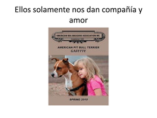 Ellos solamente nos dan compañía y
amor
 