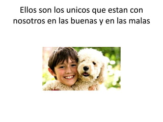 Ellos son los unicos que estan con
nosotros en las buenas y en las malas
 