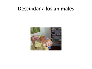 Descuidar a los animales
 