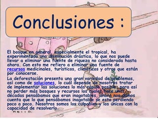 Conclusiones :
El bosque en general, especialmente el tropical, ha
experimentado una disminución drástica, lo que nos puede
llevar a eliminar una fuente de riqueza no considerada hasta
ahora. Con esto me refiero a eliminar una fuente de
recursos medicinales, turísticos, climáticos y otros que están
por conocerse.
La deforestación presenta una gran variedad de problemas,
así como de soluciones, lo cuál depende de nosotros tratar
de implementar las soluciones lo más rápido posible, para así
no perder más bosques y recursos los cuales hace unas
décadas pensábamos que eran inagotables, ahora nos damos
cuenta que lo que pensábamos inagotable se esta perdiendo
poco a poco. Nosotros somos los culpables y los únicos con la
capacidad de resolverlo.

 