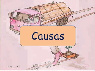 Causas

 