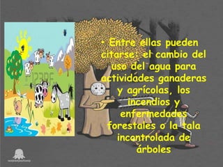 • Entre ellas pueden
citarse: el cambio del
uso del agua para
actividades ganaderas
y agrícolas, los
incendios y
enfermedades
forestales o la tala
incontrolada de
árboles

 