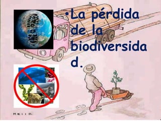 •La pérdida
de la
biodiversida
d.

 