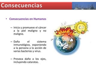 • Consecuencias en Humanos
– Inicia y promueve el cáncer
a la piel maligno y no
maligno.
– Daña
el
sistema
inmunológico, exponiendo
a la persona a la acción de
varias bacterias y virus.
– Provoca daño a los ojos,
incluyendo cataratas.

 