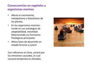 Consecuencias en vegetales y
organismos marinos
• Afecta el crecimiento,
metabolismo y fotosíntesis de
las plantas.
• En los organismos marinos:
Incide en sus estrategias de
adaptabilidad, movilidad.
Deteriorando sus funciones
fisiológicas principales
• Altera fases de desarrollo en
estado larvario y juvenil
Con referencia al clima, variará por
las emisiones causadas, lo cual
causará temperaturas elevadas.

 