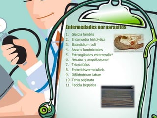 Enfermedades por parasitos
1. Giardia lamblia
2. Entamoeba histolytica
3. Balantidium coli
4. Ascaris lumbricoides
5. Estrongiloides estercoralis*
6. Necator y anquilostoma*
7. Tricocefalos
8. Enterobisvermicularis
9. Difilobotrium latum
10. Tenia saginata
11. Faciola hepatica

 