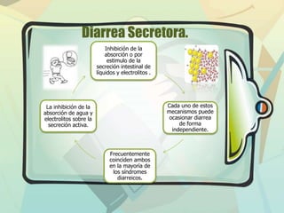 Diarrea Secretora.
Inhibición de la
absorción o por
estimulo de la
secreción intestinal de
líquidos y electrolitos .

Cada uno de estos
mecanismos puede
ocasionar diarrea
de forma
independiente.

La inhibición de la
absorción de agua y
electrolitos sobre la
secreción activa.

Frecuentemente
coinciden ambos
en la mayoría de
los síndromes
diarreicos.

 