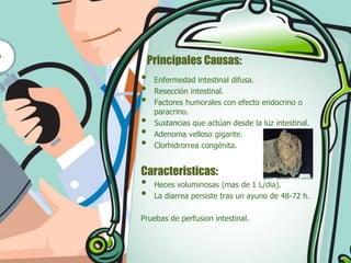 Principales Causas:

•
•
•
•
•
•

Enfermedad intestinal difusa.
Resección intestinal.
Factores humorales con efecto endocrino o
paracrino.
Sustancias que actúan desde la luz intestinal.
Adenoma velloso gigante.
Clorhidrorrea congénita.

Caracteristicas:

•
•

Heces voluminosas (mas de 1 L/dia).
La diarrea persiste tras un ayuno de 48-72 h.

Pruebas de perfusion intestinal.

 