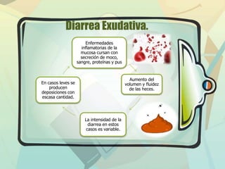 Diarrea Exudativa.
Enfermedades
inflamatorias de la
mucosa cursan con
secreción de moco,
sangre, proteínas y pus

Aumento del
volumen y fluidez
de las heces.

En casos leves se
producen
deposiciones con
escasa cantidad.

La intensidad de la
diarrea en estos
casos es variable.

 