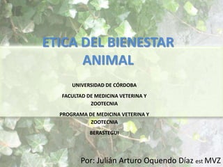 ETICA DEL BIENESTAR
ANIMAL
Por: Julián Arturo Oquendo Díaz est MVZ
UNIVERSIDAD DE CÓRDOBA
FACULTAD DE MEDICINA VETERINA Y
ZOOTECNIA
PROGRAMA DE MEDICINA VETERINA Y
ZOOTECNIA
BERASTEGUI
 