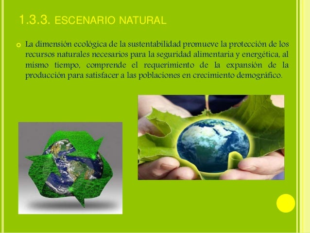 Diapositivas. Desarrollo Sustentable.
