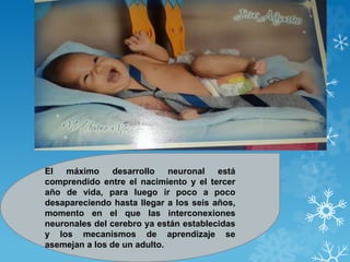El máximo desarrollo neuronal está 
comprendido entre el nacimiento y el tercer 
año de vida, para luego ir poco a poco 
desapareciendo hasta llegar a los seis años, 
momento en el que las interconexiones 
neuronales del cerebro ya están establecidas 
y los mecanismos de aprendizaje se 
asemejan a los de un adulto. 
 