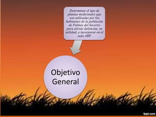 Determinar el tipo de 
plantas medicinales que 
son utilizadas por los 
habitantes de la población 
de Palmas del Socorro 
para aliviar dolencias, su 
utilidad, e incorporar en el 
aula ABP. 
Tomado de: http://creativecommons.org 
Objetivo 
General 
 