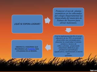 ¿QUÉ SE ESPERA LOGRAR? 
Promover el uso de plantas 
aromáticas en los educandos 
del colegio Departamental La 
Inmaculada del municipio de 
Palmas del Socorro para 
aliviar malestares. 
Con la implementación En el sector 
educativo de las TICs se pretende 
desarrollar una estrategia para 
fomentar la creatividad, el talento 
artístico y técnico de 
niños y jóvenes, propiciando 
situaciones didácticas que 
promueven aprendizajes 
significativos, manteniendo el interés 
por 
aprender. 
OBSERVE EL VIDEOPARA QUE 
RECONOZCA LAS PLANTAS MAS 
UTILIZADAS EN LA REGION . 
 