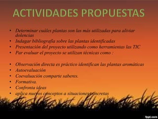 Actividades Propuestas. 
• Determinar cuáles plantas son las más utilizadas para aliviar 
dolencias 
• Indagar bibliografía sobre las plantas identificadas 
• Presentación del proyecto utilizando como herramientas las TIC 
• Par evaluar el proyecto se utilizan técnicas como : 
• Observación directa es práctico identifican las plantas aromáticas 
• Autoevaluación 
• Coevaluación comparte saberes. 
• Formativa. 
• Confronta ideas 
• aplica nuevos conceptos a situaciones concretas 
 