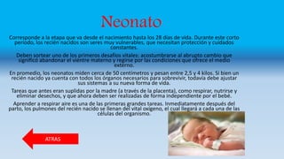 Neonato
Corresponde a la etapa que va desde el nacimiento hasta los 28 días de vida. Durante este corto
período, los recié...