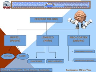 Estrategia de Aprendizaje en el Contexto de la Innovación Educativa
Seminario: Estrategias de Mediación y Facilitación Facilitadora: Dra. Maigre Acudero
CEREBRO TRI-UNO
REPTIL
(Padre)
LIMBICO
(Niño)
NEO-CORTEX
(Adulto)
ACTUAR HACER
EMOCIONES SENTIMIENTOS
HEMISFERIO IZQUIERDO
Isturiz y Carpio (1997). Mira. Escucha y Contáctate.
HEMISFERIO DERECHO
Doctorante: Mirley Toro
 