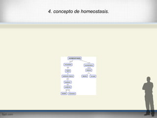 4. concepto de homeostasis.
 