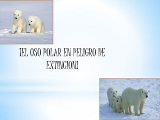 ¡EL OSO POLAR EN PELIGRO DE
EXTINCION!
 