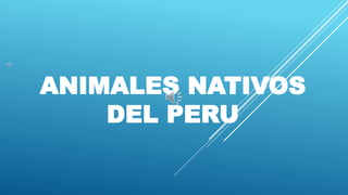 ANIMALES NATIVOS
DEL PERU
 