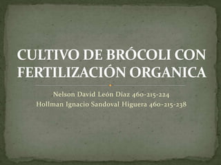Nelson David León Díaz 460-215-224
Hollman Ignacio Sandoval Higuera 460-215-238
 