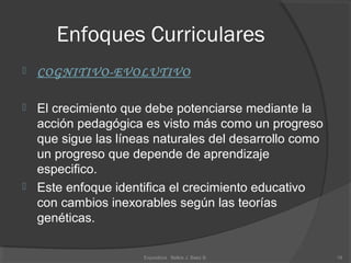 Enfoques Curriculares
 COGNITIVO-EVOLUTIVO
 El crecimiento que debe potenciarse mediante la
acción pedagógica es visto más como un progreso
que sigue las líneas naturales del desarrollo como
un progreso que depende de aprendizaje
especifico.
 Este enfoque identifica el crecimiento educativo
con cambios inexorables según las teorías
genéticas.
18Expositora Belkis J. Baez B.
 