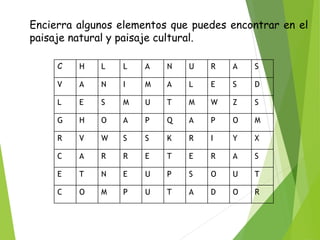 Encierra algunos elementos que puedes encontrar en el
paisaje natural y paisaje cultural.
C H L L A N U R A S
V A N I M A L E S D
L E S M U T M W Z S
G H O A P Q A P O M
R V W S S K R I Y X
C A R R E T E R A S
E T N E U P S O U T
C O M P U T A D O R
 
